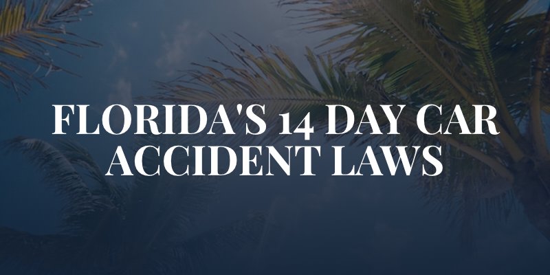 palm trees with caption: "Florida's 14 Day car accident laws"