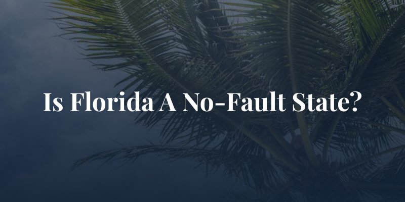 palm tree with the caption "is florida a no-fault state"